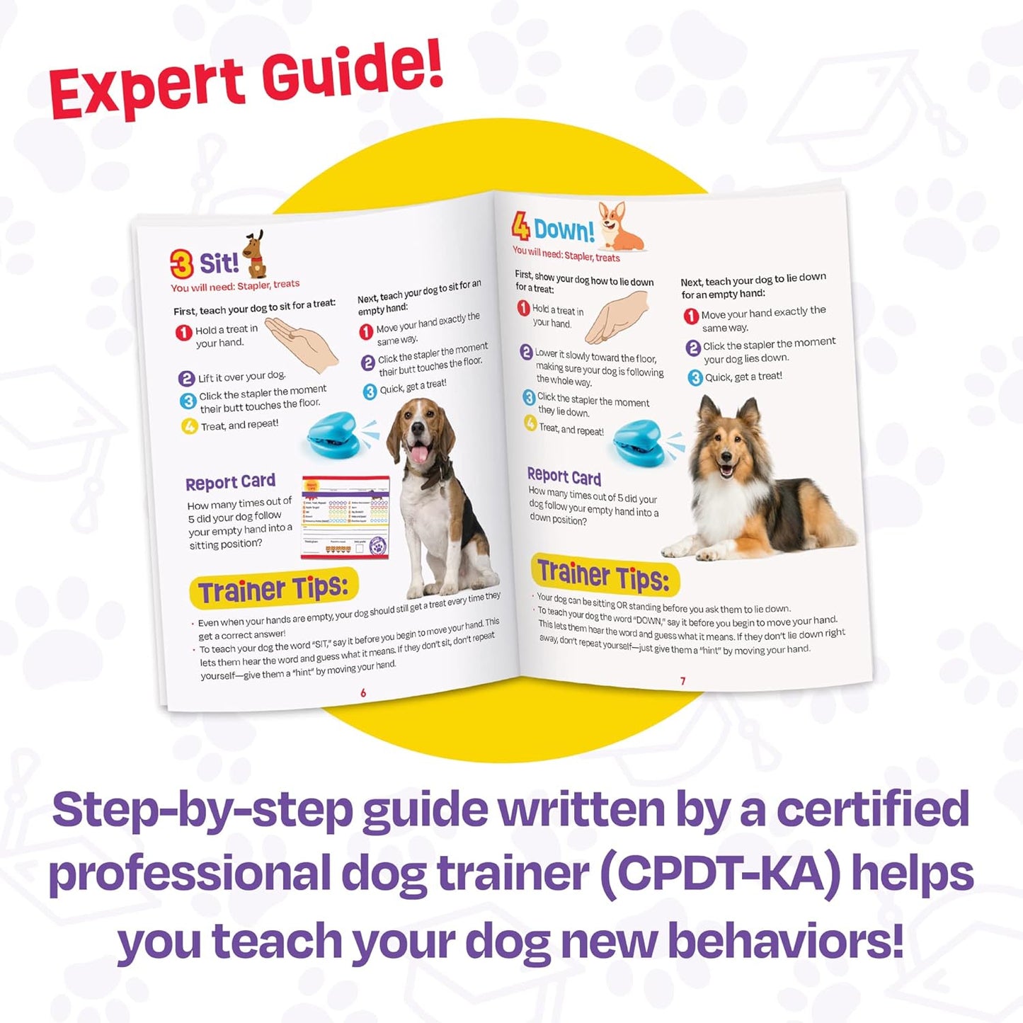 Pooch School Training Set - 15 Piece Set Training Games for Dogs, Games and Toys for Dogs